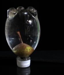 Pear in a Bottle