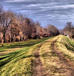 Biketrail