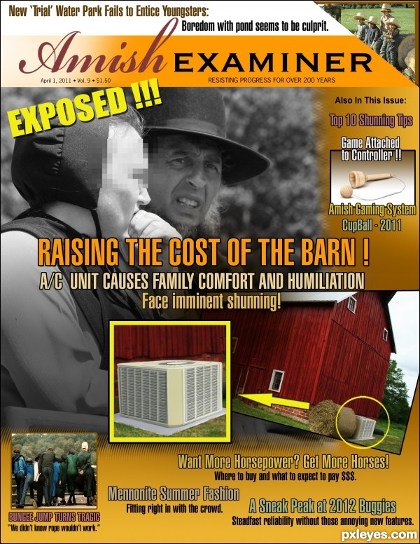 The Amish Examiner