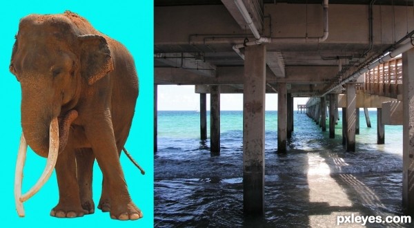 Creation of He Voted Democrat and Ran Away: Step 3