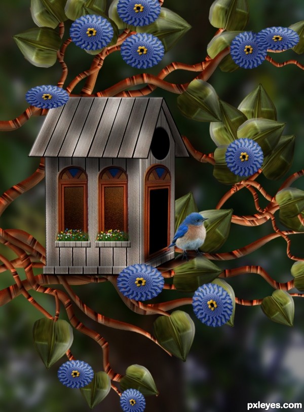 A Birds House