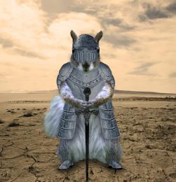 knightsquirrel