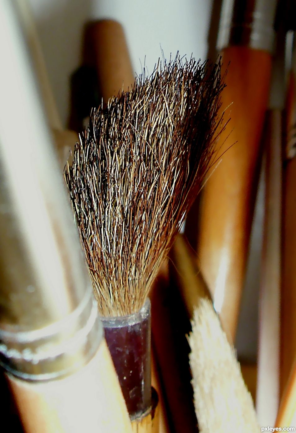 Brown Bristle Brush