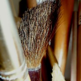 BrownBristleBrush