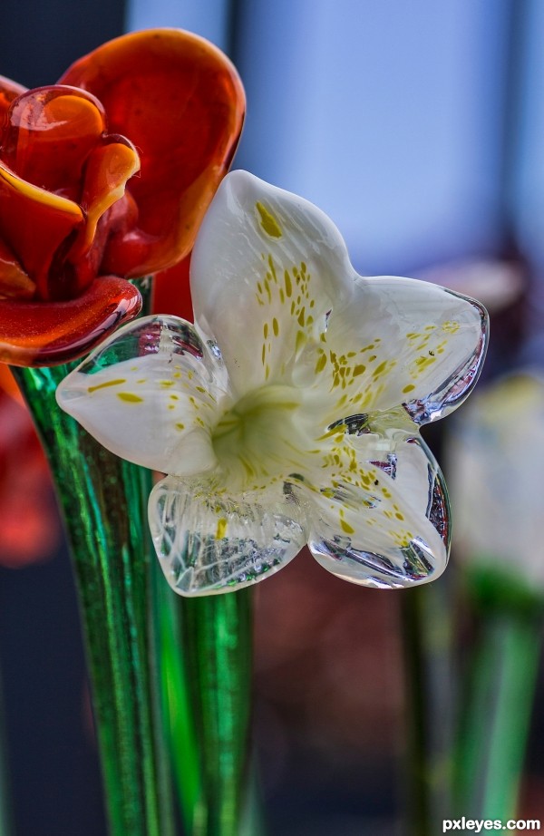 Glass flowers