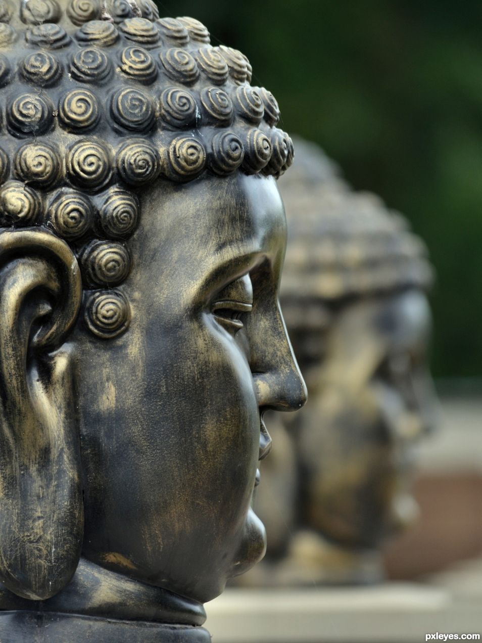 Buddhas