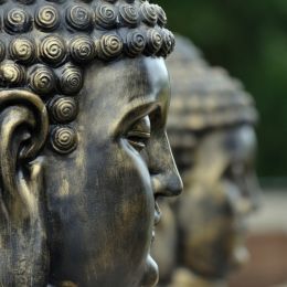 Buddhas