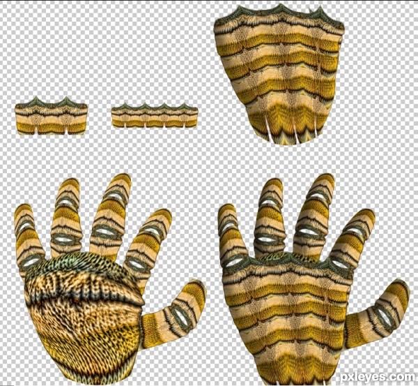 Creation of Luna Tuna Butterfly: Step 3