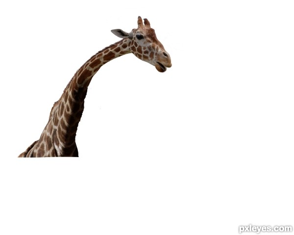 Creation of A Tall Story: Step 3