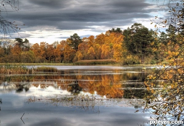 Autumn Reflections