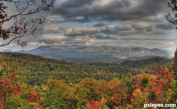 First real view of Autumn