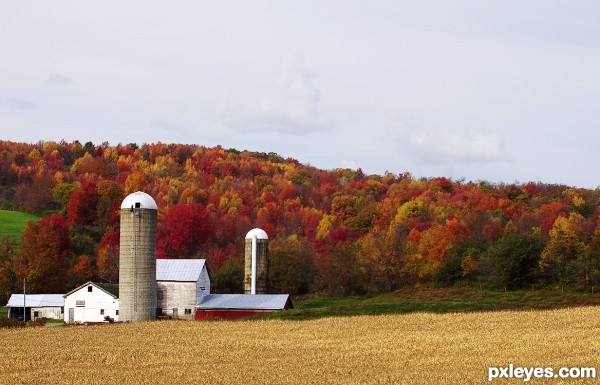 Harvest Time