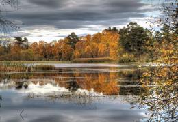 Autumn Reflections