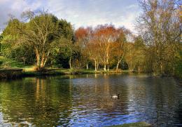 AutumnattheDuckPond