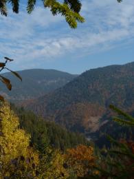 DrÄƒgans  valley, Romania.