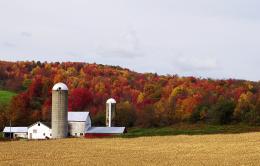 Harvest Time