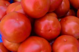 Tomatoes