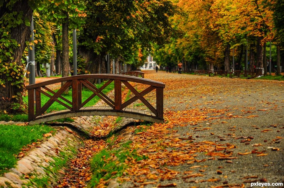 Bridge over the fall