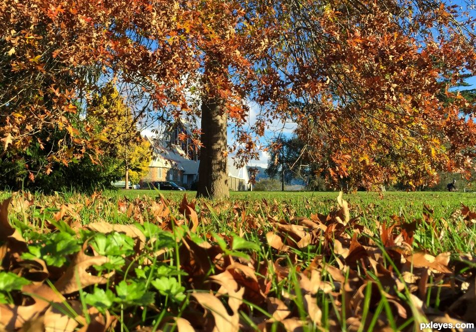 sunny autumn day