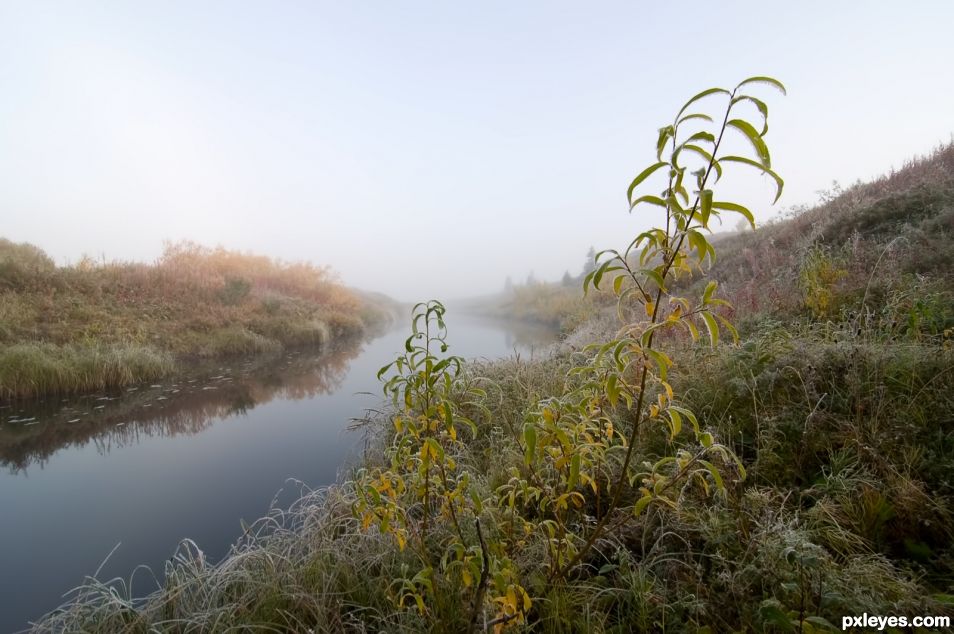 Morning in September