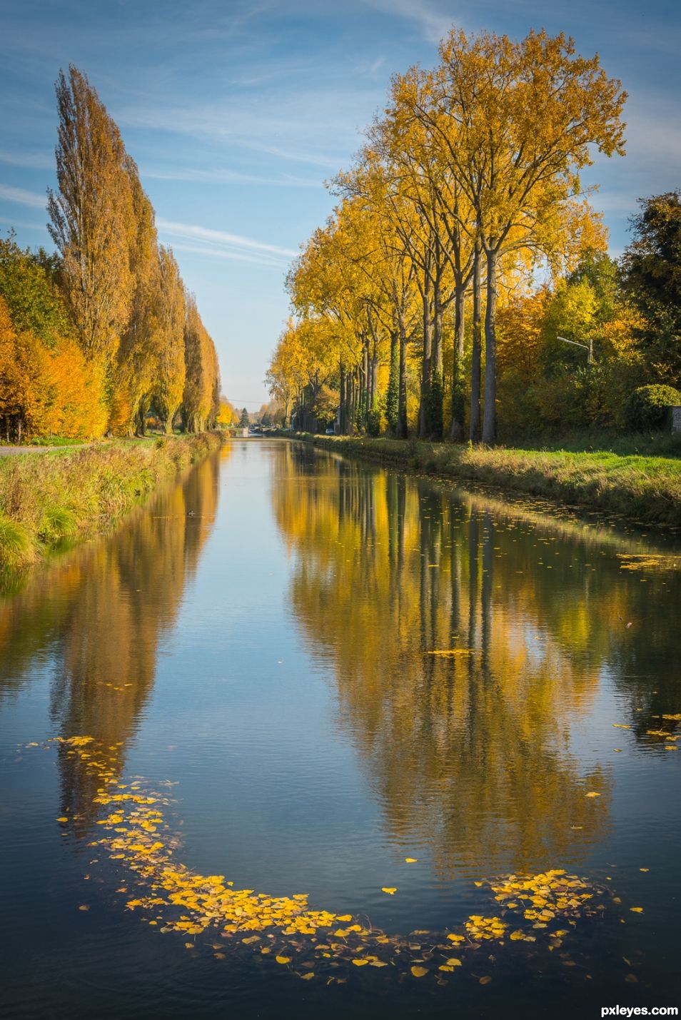 Autumn reflexion