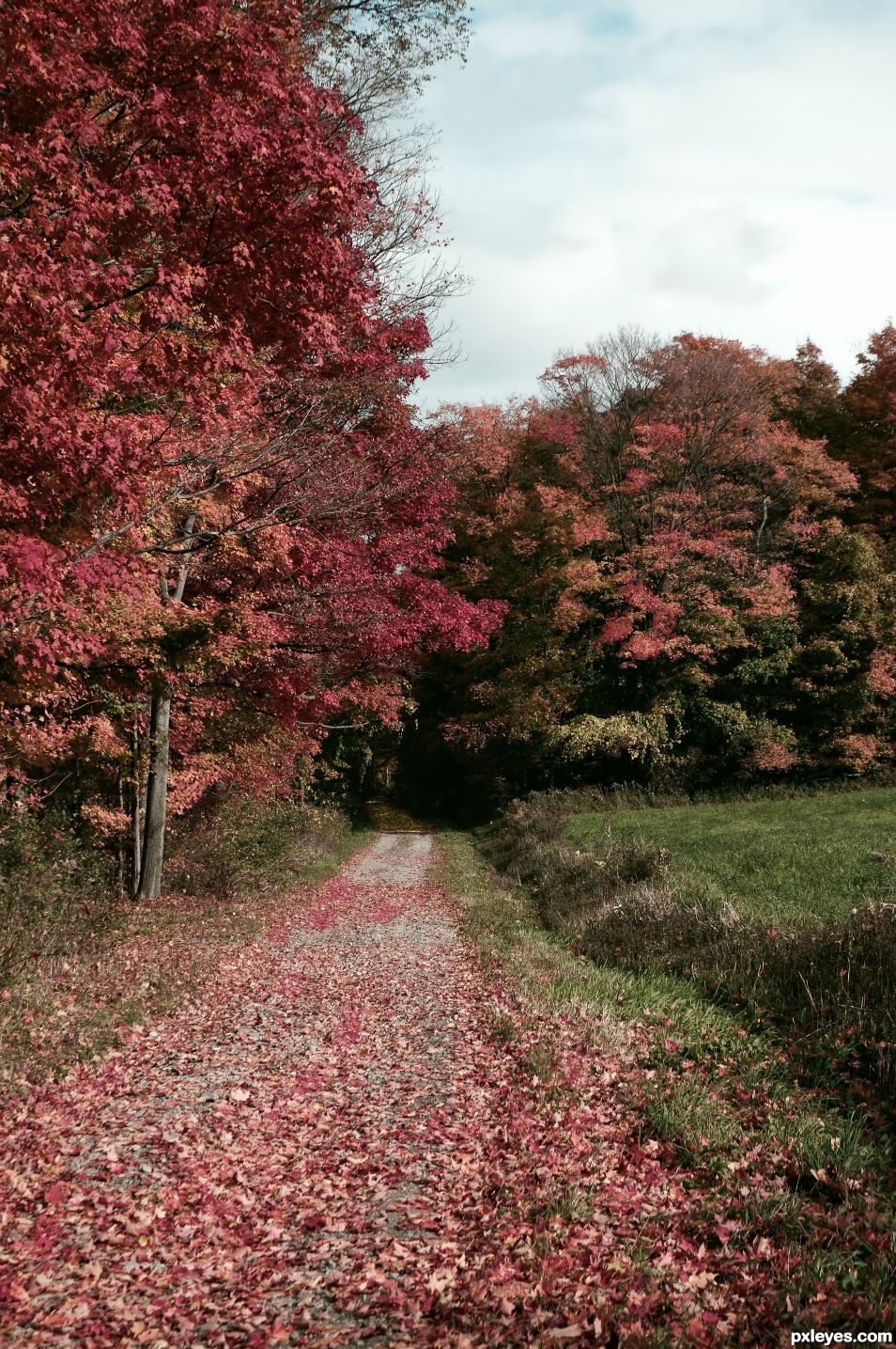 Red Road