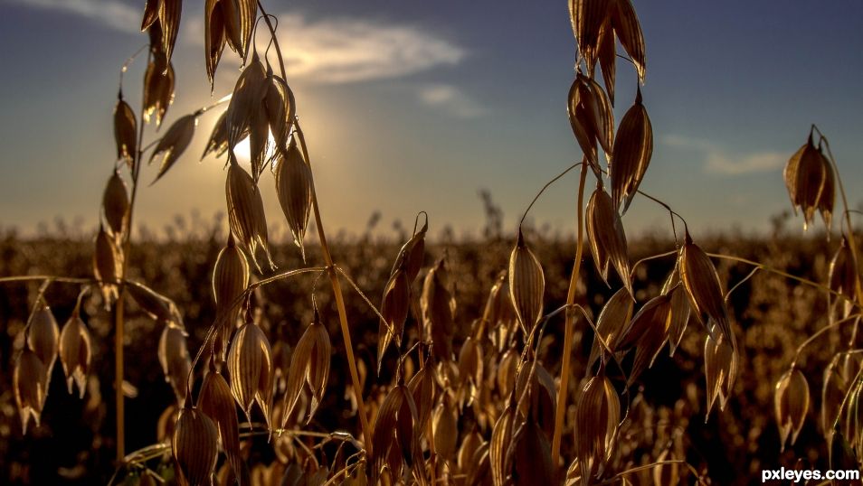 Fall on the Prairies