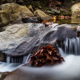 Riverflow