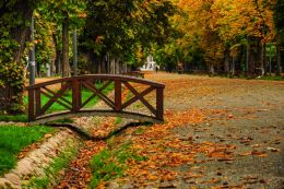 Bridge over the fall