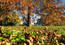 sunny autumn day