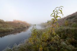 Morning in September