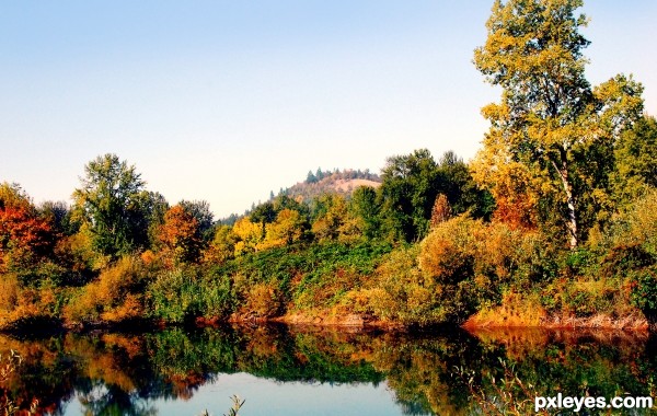 Autumn Reflection 