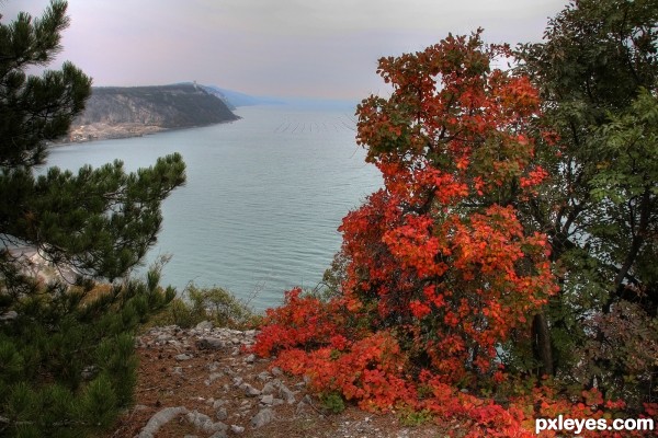 Autumn and sea