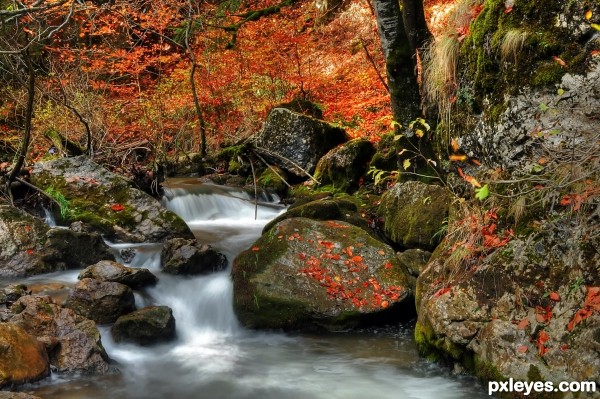 Autumn land