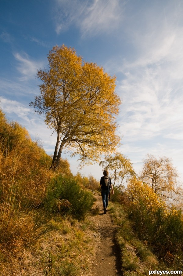 Hiking in Autumn