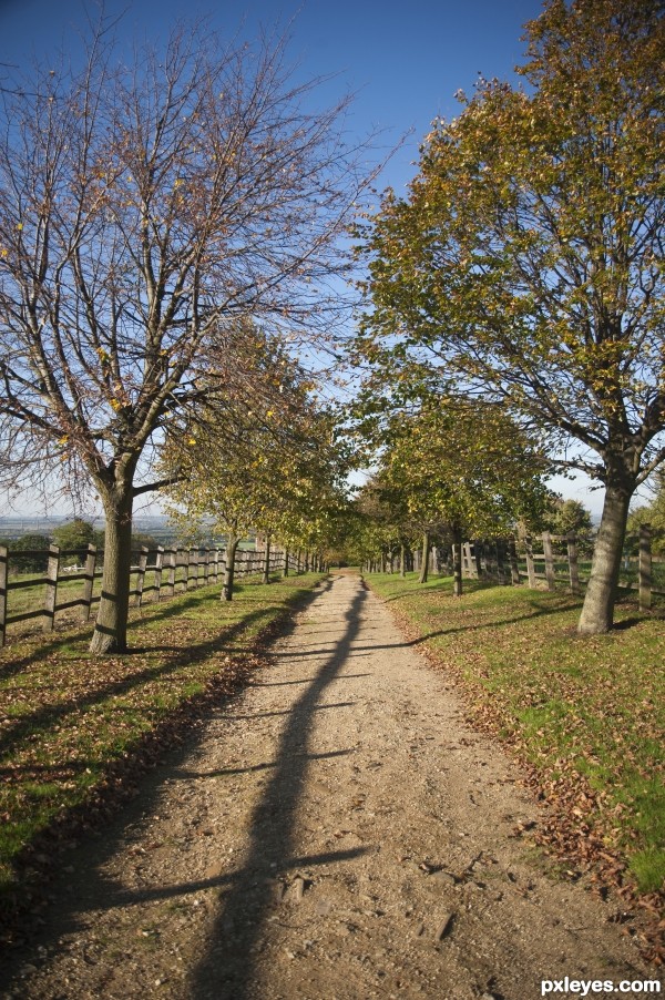 Path to Autumn