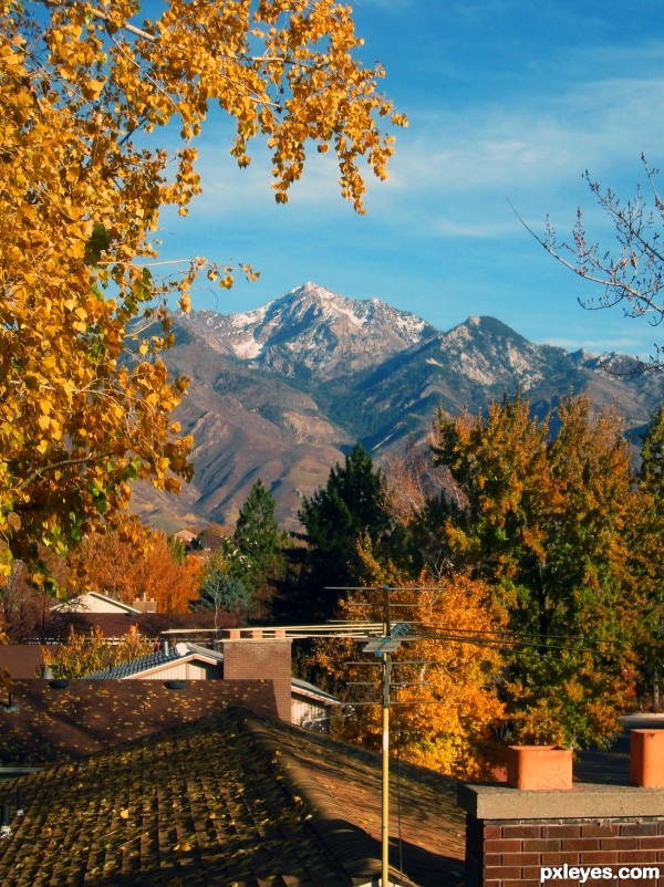 Rooftop Autumn