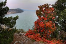 Autumn and sea