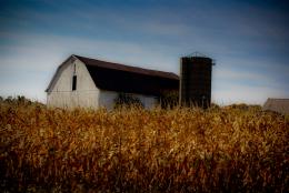 Midwest Farm