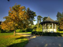 autumn park Picture