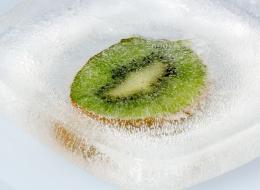 FrozenKiwi