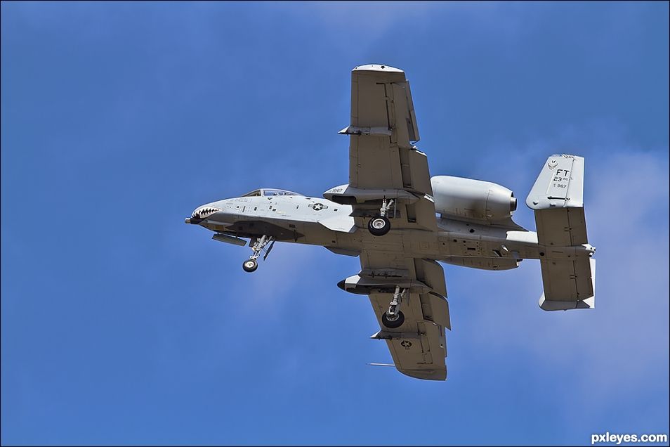 A-10 Warthog