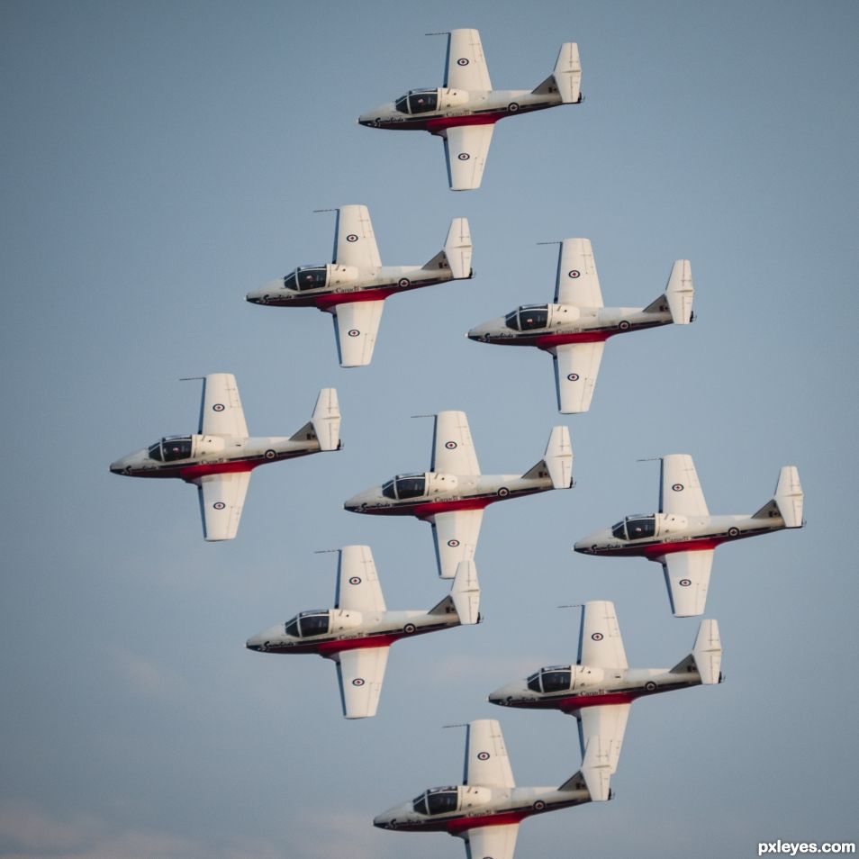 Canadian Snowbirds in formation