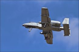 A-10 Warthog