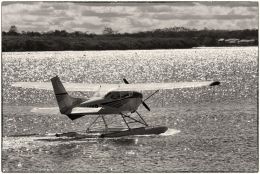 Sea Plane taking off