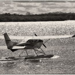 SeaPlanetakingoff