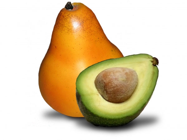 Creation of Pear partnered up with Avocado: Final Result