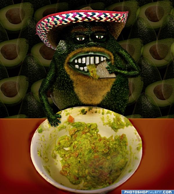 Creation of Guacamole Taste Tester : Final Result