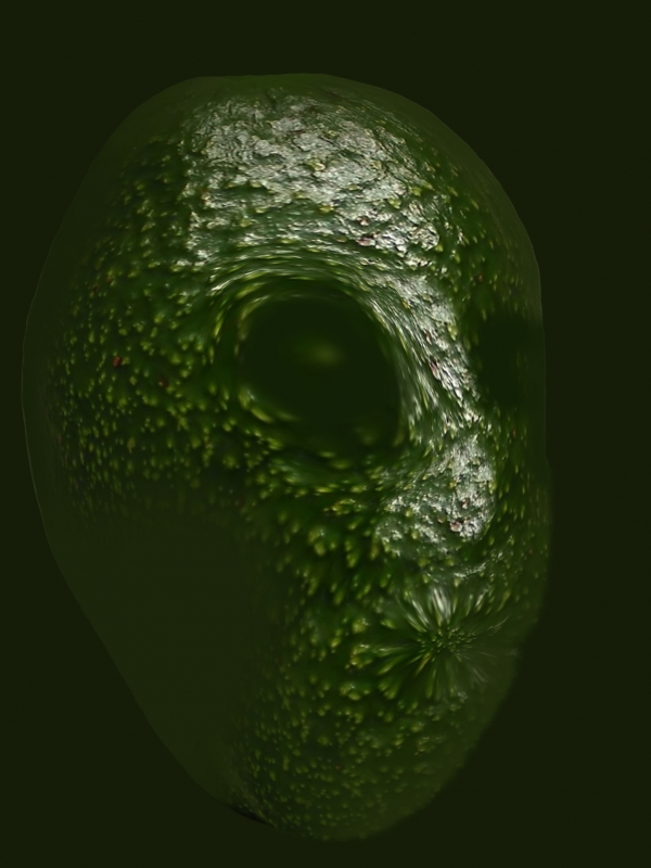 Creation of Avocado Alien: Step 1