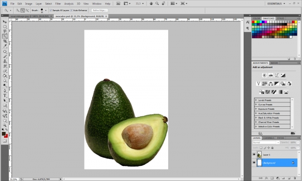Creation of Avocador: Step 1